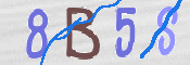 Code Anti-spam