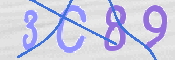 Code Anti-spam