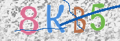 Code Anti-spam
