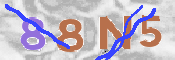 Code Anti-spam