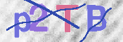 Code Anti-spam