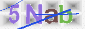 Code Anti-spam