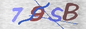 Code Anti-spam