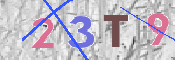 Code Anti-spam