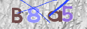Code Anti-spam