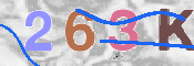 Code Anti-spam