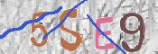 Code Anti-spam