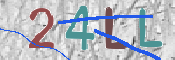 Code Anti-spam