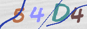 Code Anti-spam