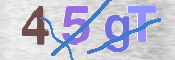 Code Anti-spam