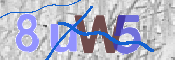 Code Anti-spam