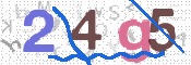Code Anti-spam