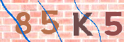 Code Anti-spam