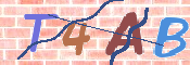 Code Anti-spam