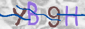 Code Anti-spam