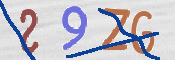 Code Anti-spam