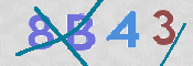 Code Anti-spam