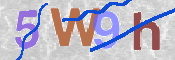 Code Anti-spam