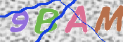 Code Anti-spam