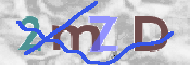 Code Anti-spam