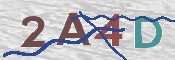 Code Anti-spam