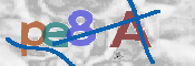 Code Anti-spam