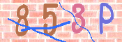 Code Anti-spam