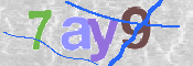 Code Anti-spam