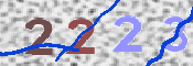 Code Anti-spam