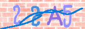 Code Anti-spam