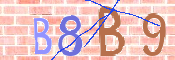 Code Anti-spam