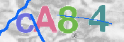 Code Anti-spam