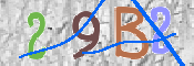 Code Anti-spam