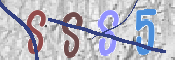 Code Anti-spam