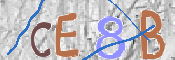 Code Anti-spam