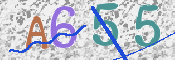 Code Anti-spam