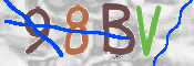 Code Anti-spam