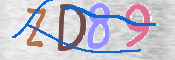 Code Anti-spam