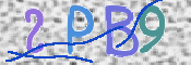 Code Anti-spam
