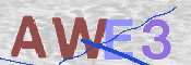 Code Anti-spam