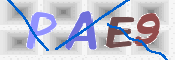 Code Anti-spam