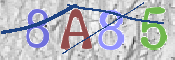 Code Anti-spam