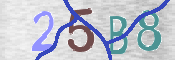 Code Anti-spam