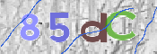 Code Anti-spam