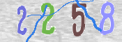 Code Anti-spam