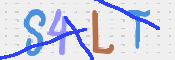 Code Anti-spam
