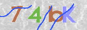 Code Anti-spam