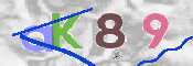 Code Anti-spam