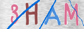 Code Anti-spam