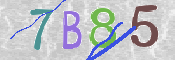 Code Anti-spam